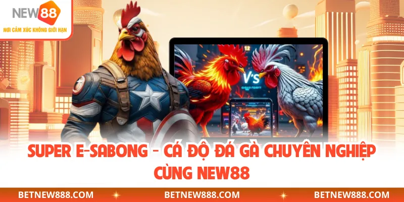 Super E-Sabong - Cá Độ Đá Gà Chuyên Nghiệp Cùng NEW88